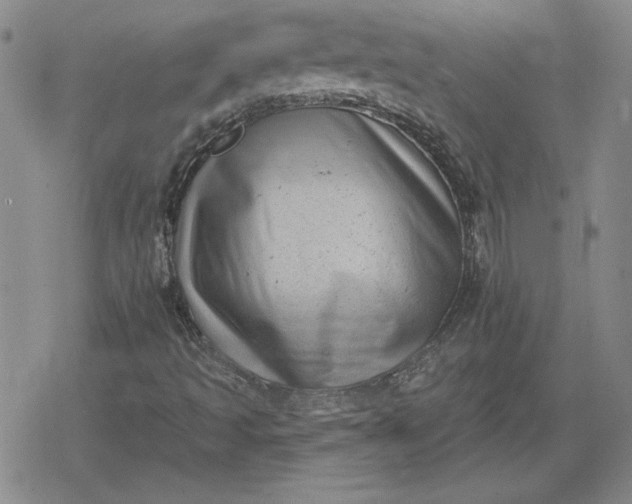 X0000080181493200612221302