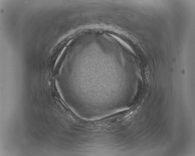 X0000080181494200612221302