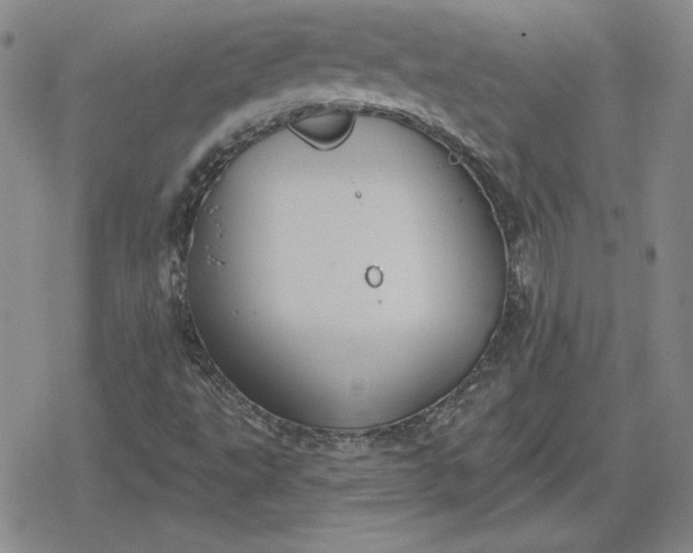 X0000080181495200612221302