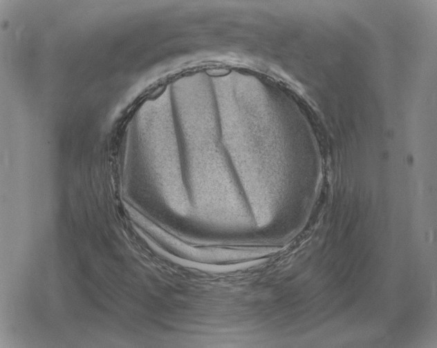 X0000080181496200612221302