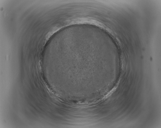 X0000080181497200612221302