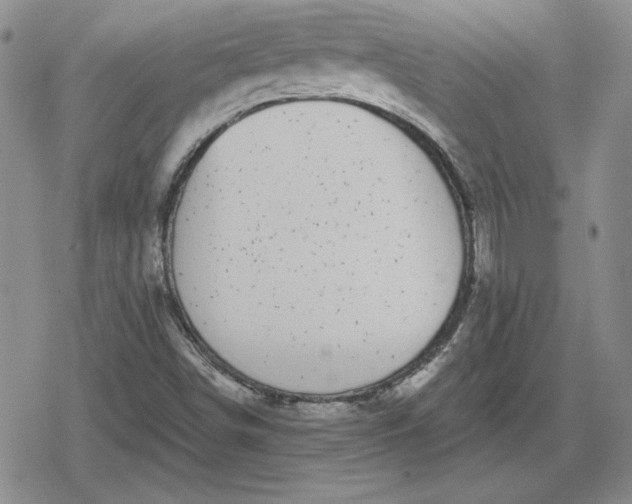 X0000080181498200612221302