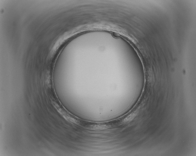 X0000080181499200612221302