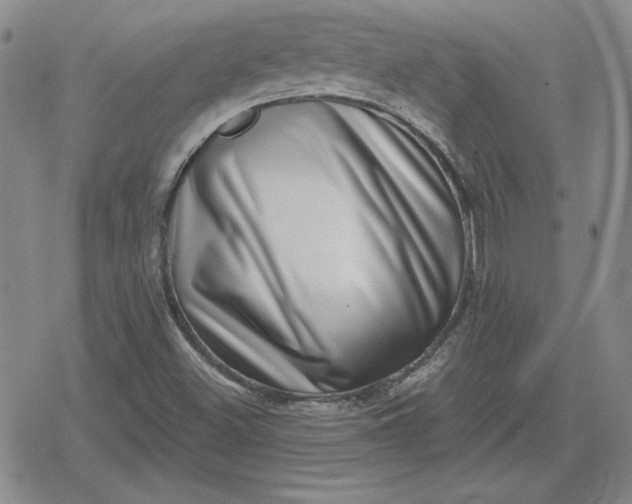 X0000080181500200612221302