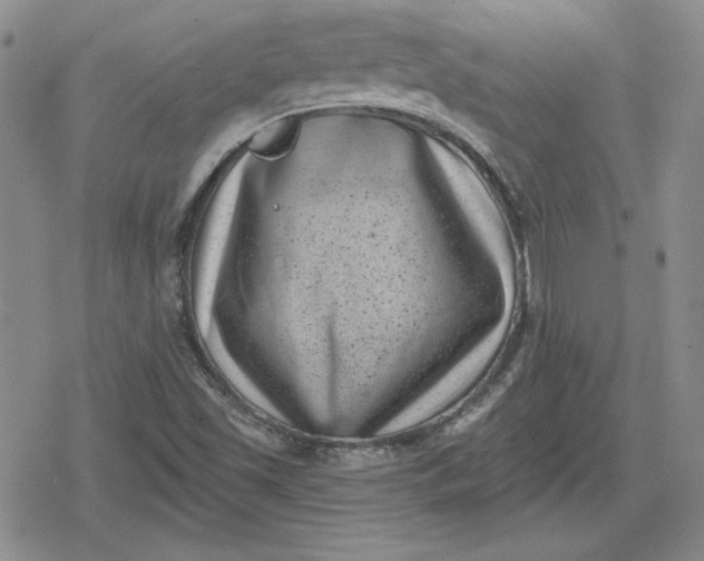 X0000080181501200612221302