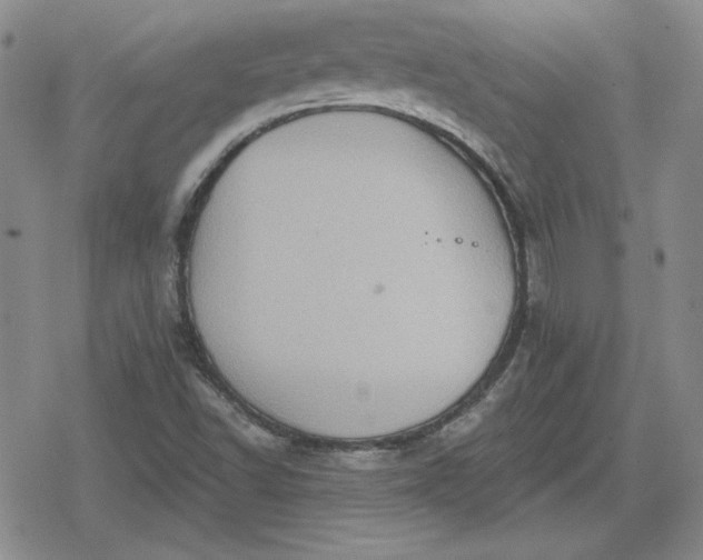 X0000080181502200612221302