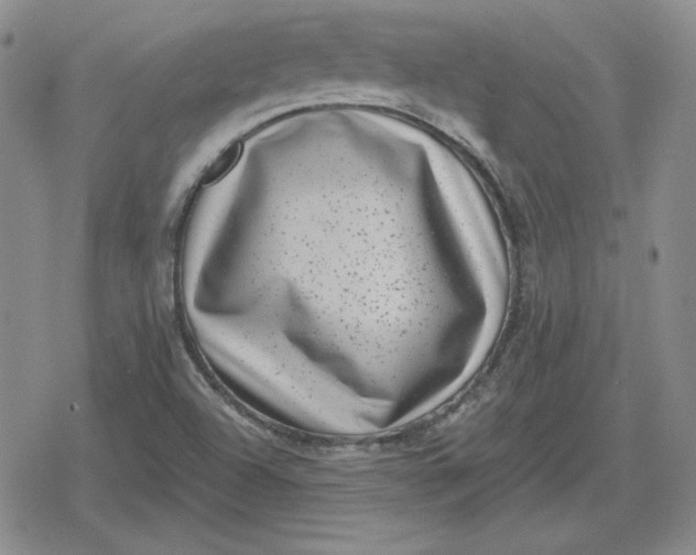 X0000080181504200612221303