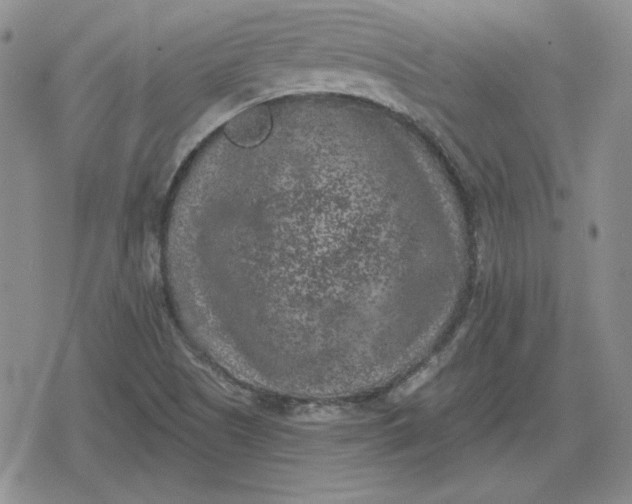 X0000080181505200612221303