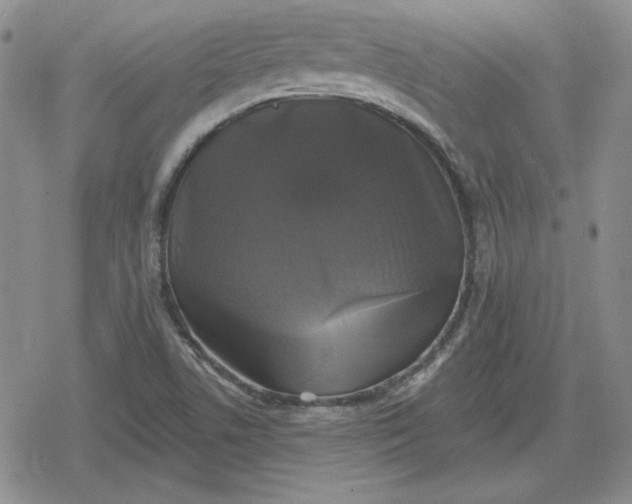 X0000080181506200612221303