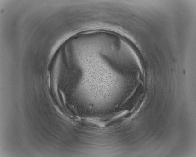 X0000080181509200612221303