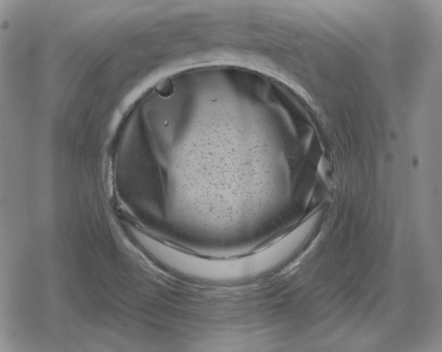 X0000080181510200612221303