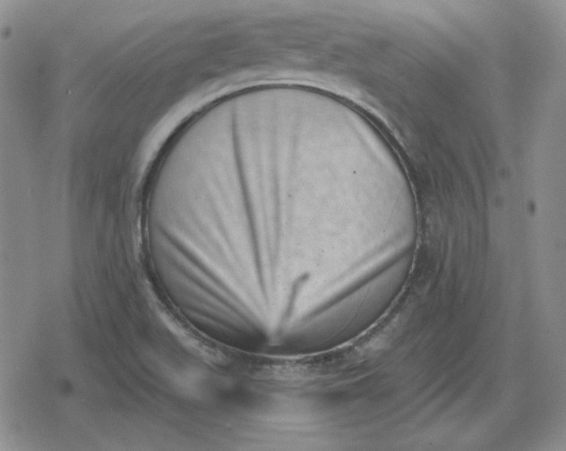 X0000080181511200612221303