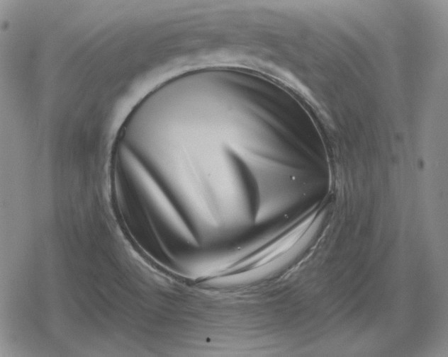 X0000080181512200612221303