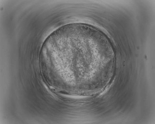 X0000080181513200612221303