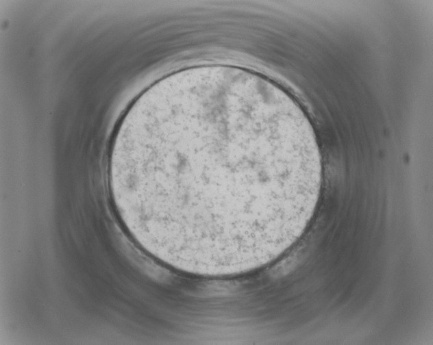 X0000080181514200612221303