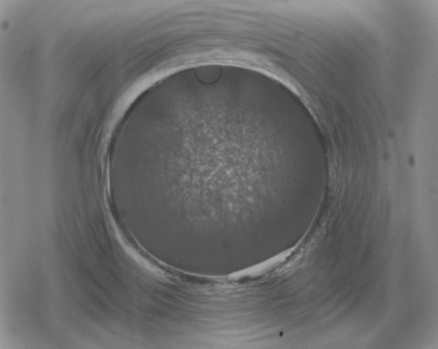 X0000080181515200612221303