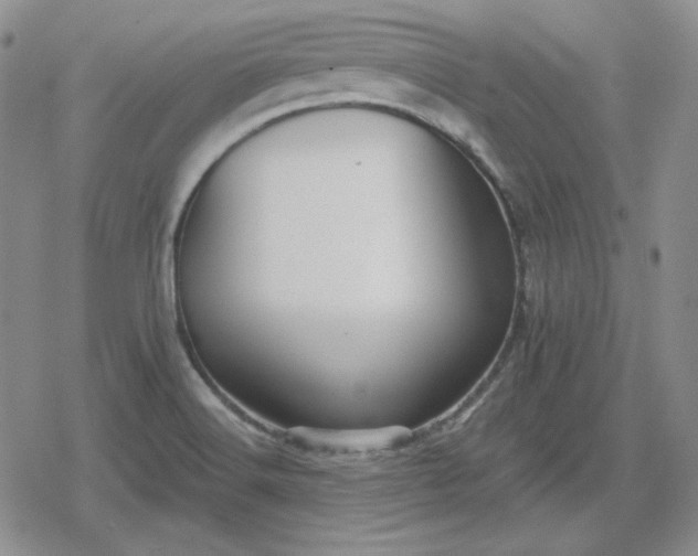 X0000080181516200612221303