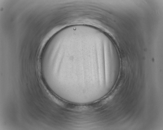 X0000080181517200612221303