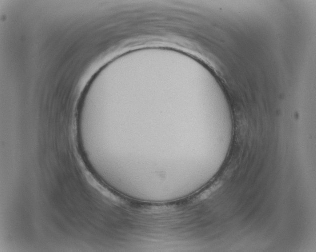 X0000080181518200612221303