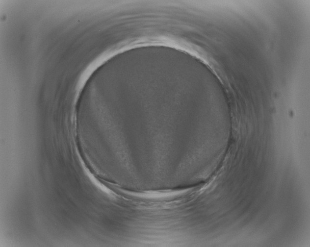 X0000080181519200612221303