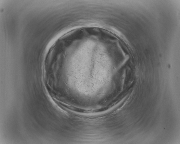 X0000080181520200612221303