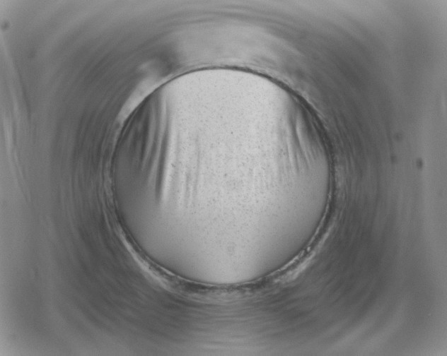 X0000080181521200612221303