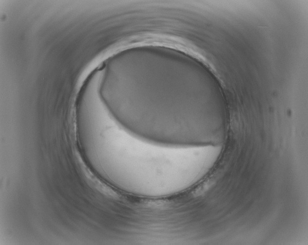 X0000080181522200612221303