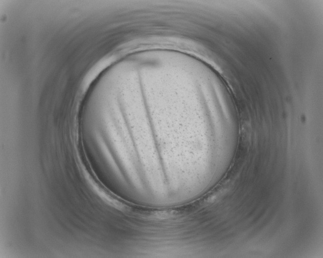 X0000080181523200612221303