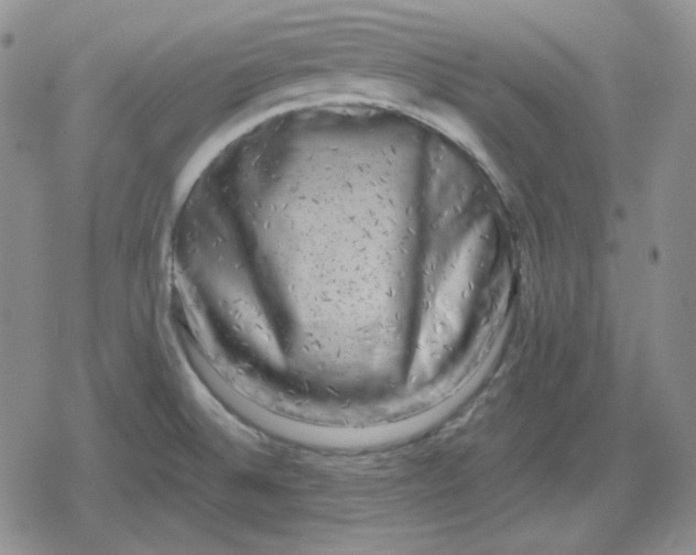 X0000080181524200612221303