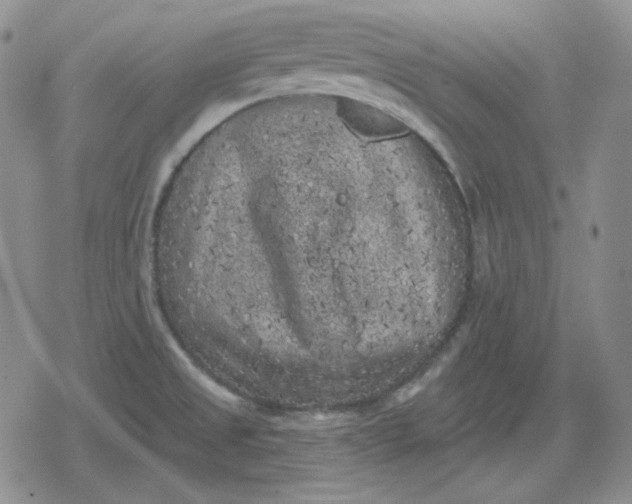 X0000080181525200612221303