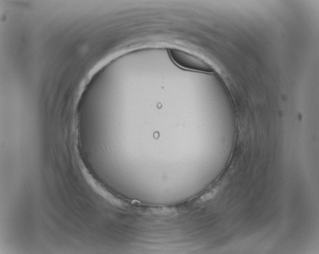 X0000080181526200612221303