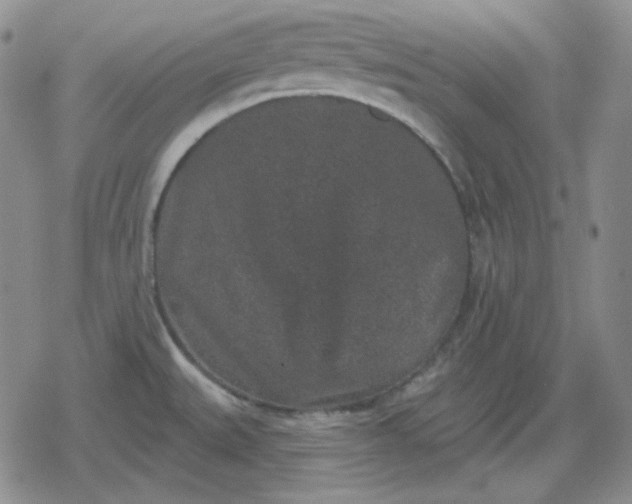 X0000080181527200612221303