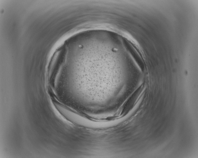 X0000080181528200612221303