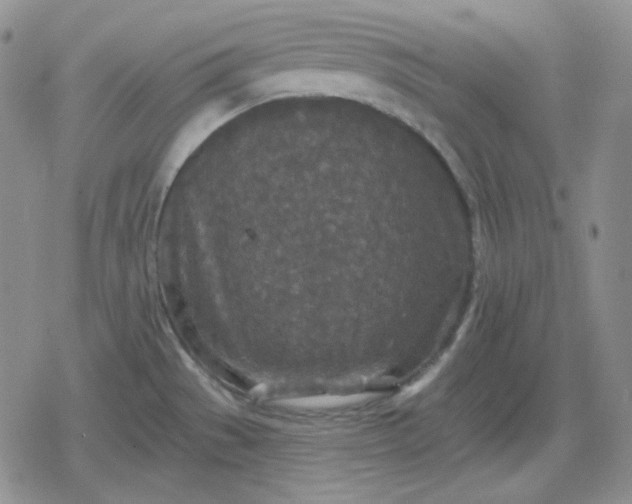 X0000080181529200612221303