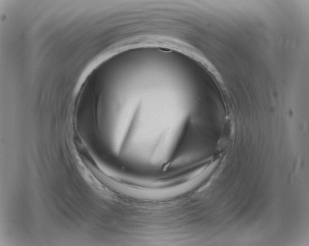 X0000080181530200612221303