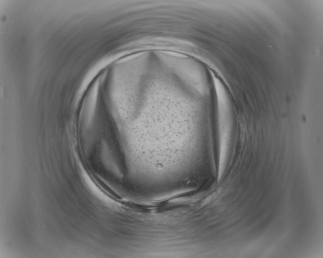 X0000080181531200612221303