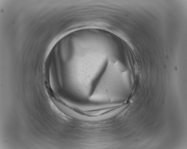 X0000080181532200612221303