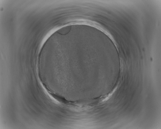 X0000080181533200612221303