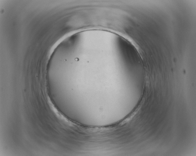 X0000080181534200612221303