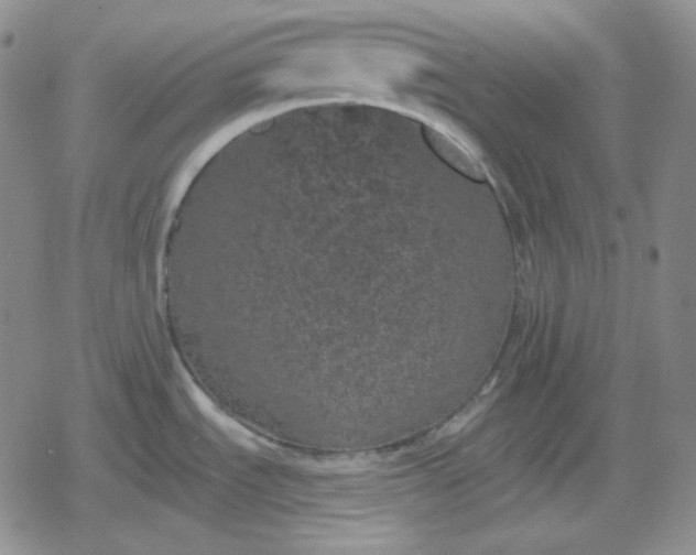 X0000080181535200612221303