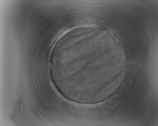 X0000080180002200612302257