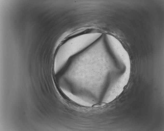 X0000080180003200612302257