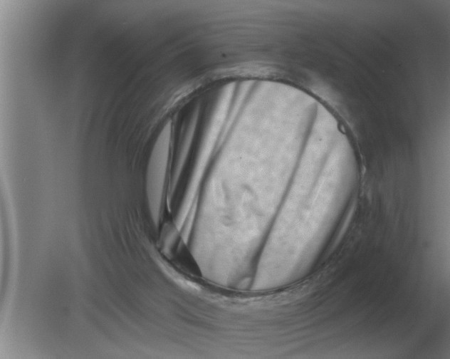 X0000080180013200612302257