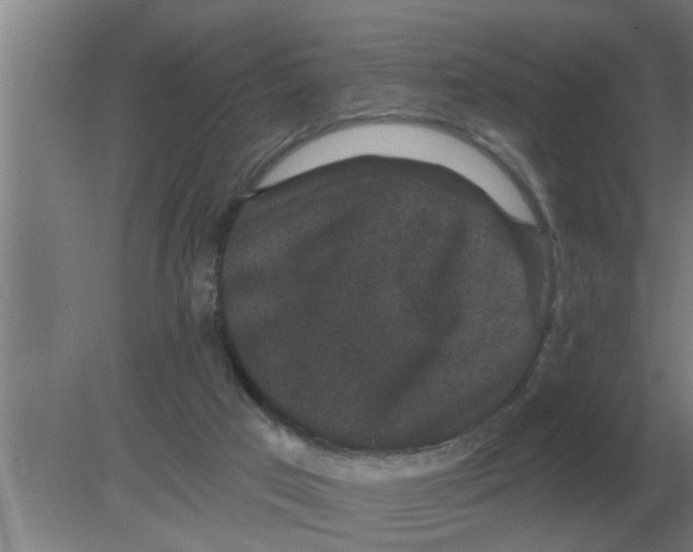 X0000080180017200612302257