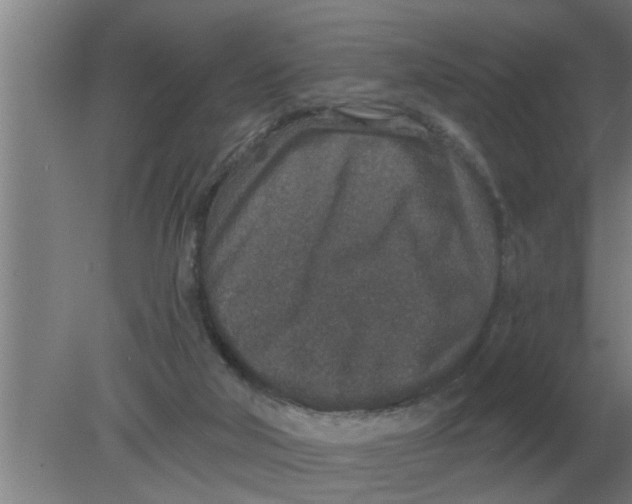 X0000080180018200612302257