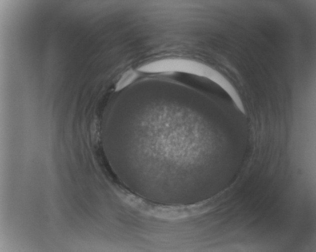 X0000080180029200612302257