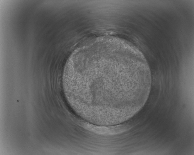 X0000080180030200612302257