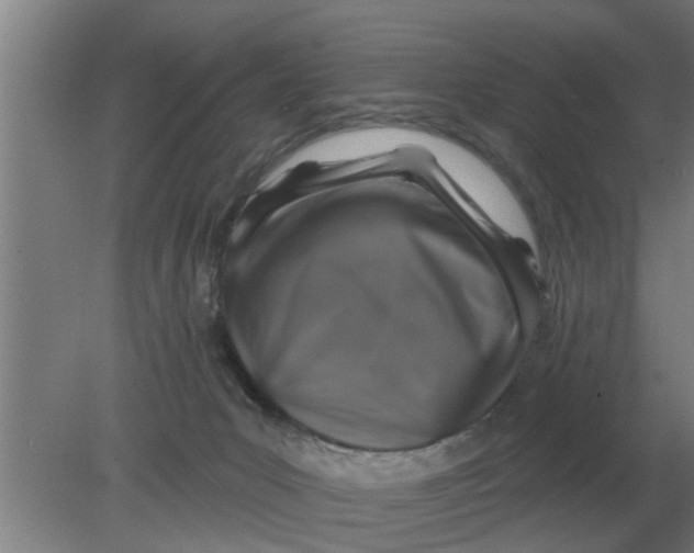 X0000080180031200612302256