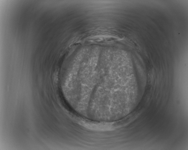 X0000080180032200612302256