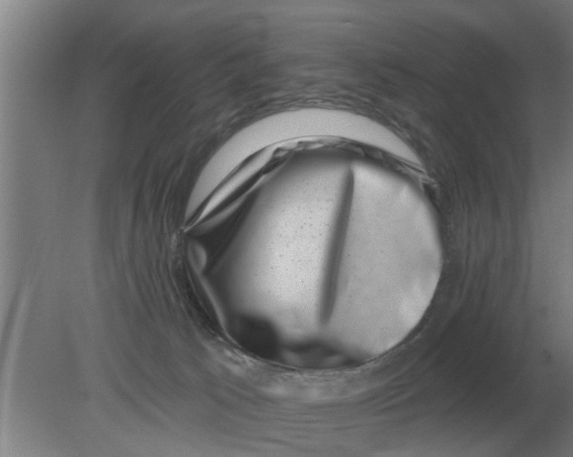 X0000080180033200612302256